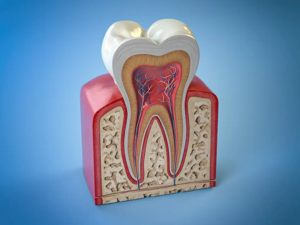 root-canal